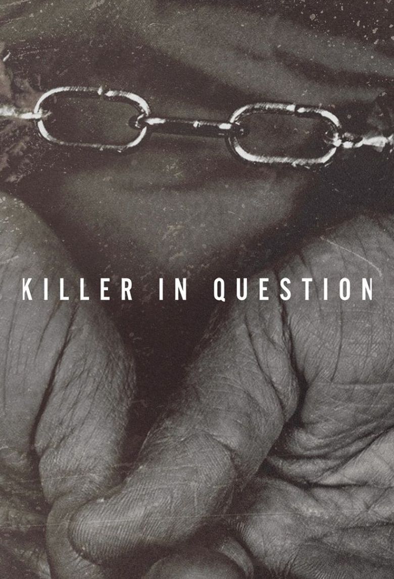 Killer in Question Poster