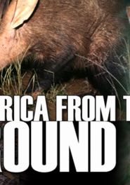 Africa from the Ground Up Poster