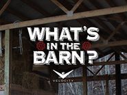 What's in the Barn? Poster