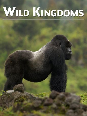 Wild Kingdoms Poster