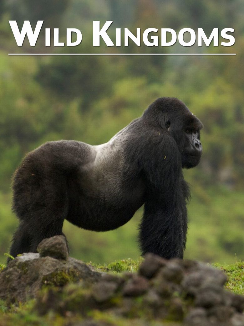 Wild Kingdoms Wild Kingdoms