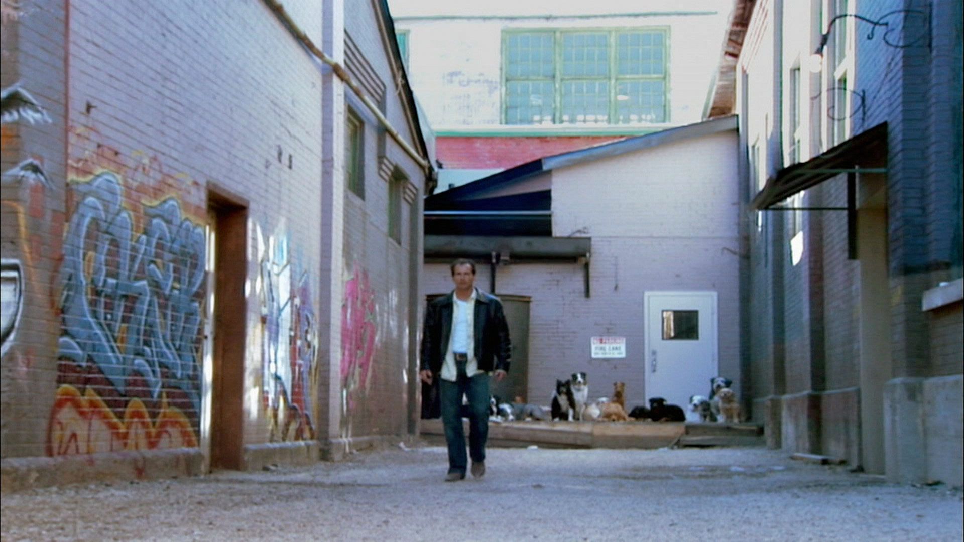 In the Dog House Where to Watch Every Episode Streaming Online Reelgood