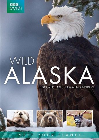 Wild Alaska Poster