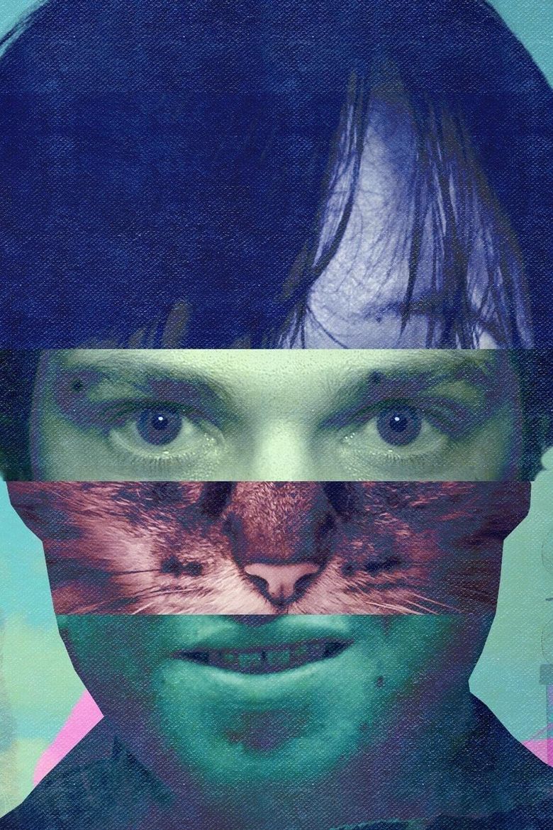 The Curious Case of...