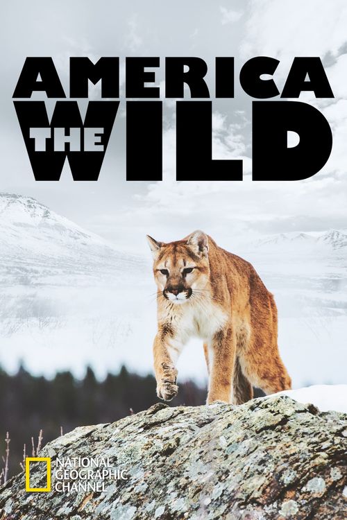 America the Wild Season 1 Poster
