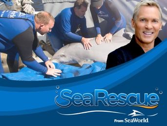 Sea Rescue Poster