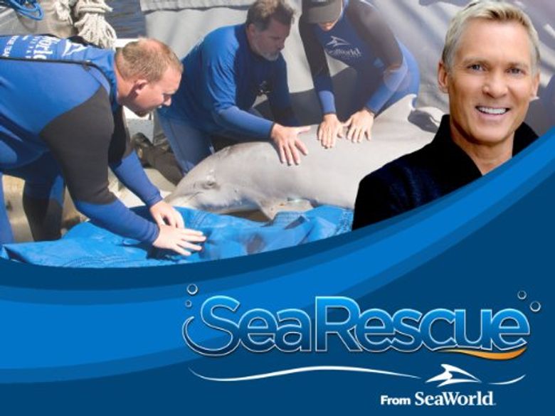 Sea Rescue Poster