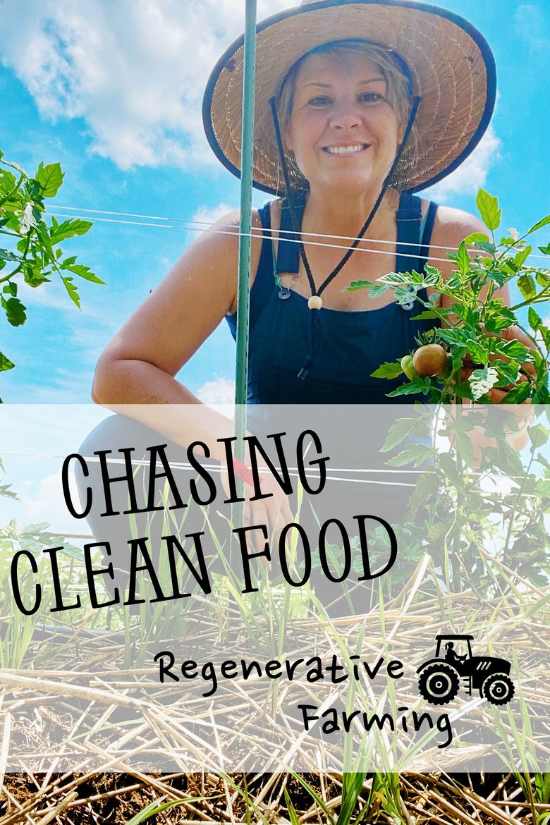Chasing Clean Food