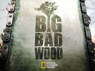  Big Bad Wood Poster