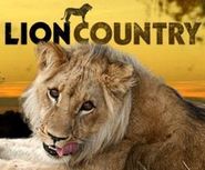  Lion Country Poster