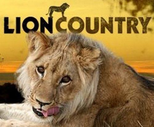 Lion Country Poster