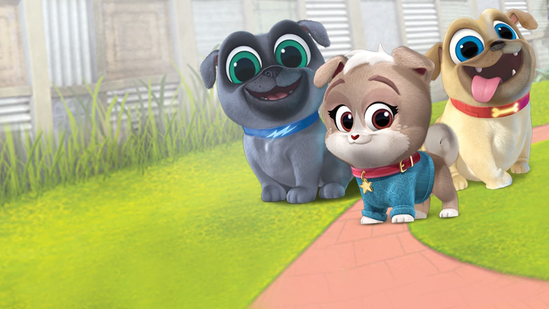 Playtime with Puppy Dog Pals Season 2: Where To Watch Every Episode ...