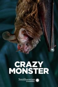  Crazy Monster Poster