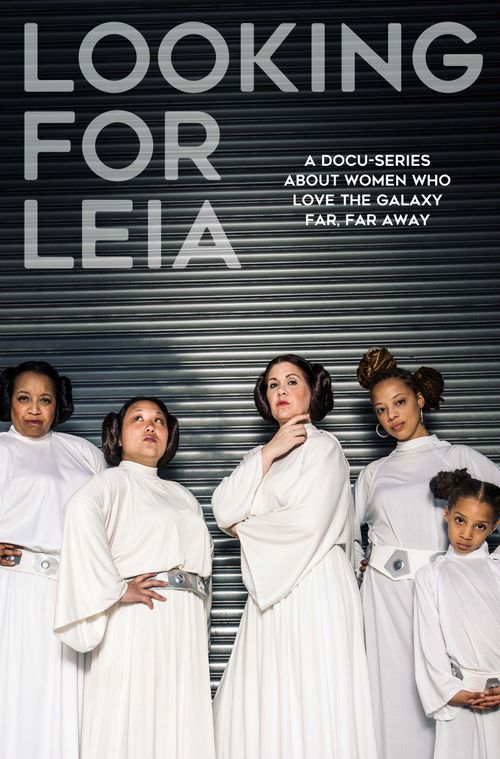 Looking for Leia Poster
