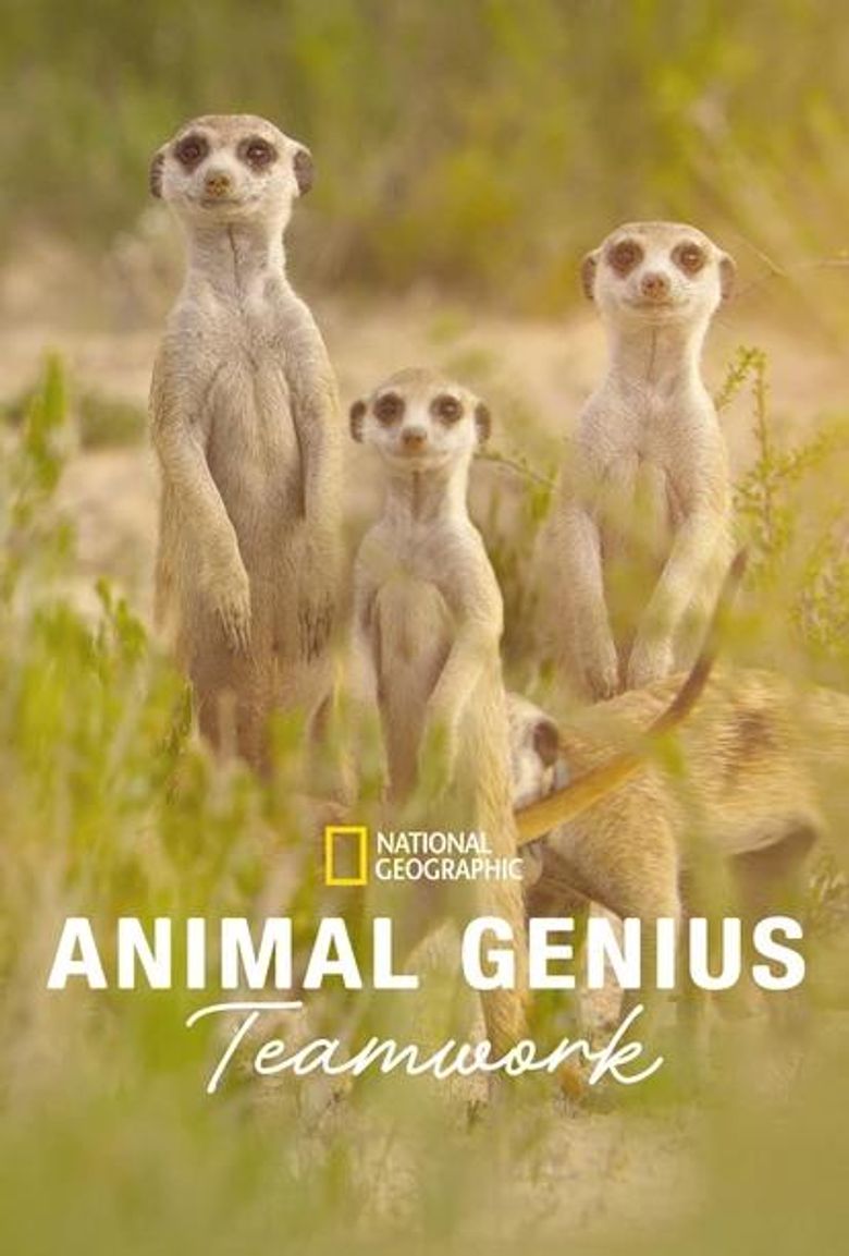 Animal Genius