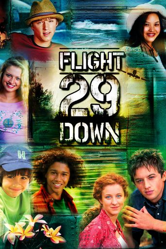  Flight 29 Down Poster