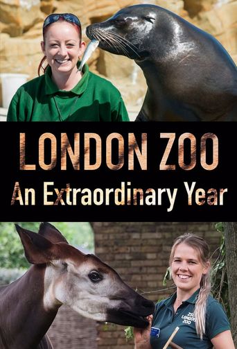  London Zoo: An Extraordinary Year Poster