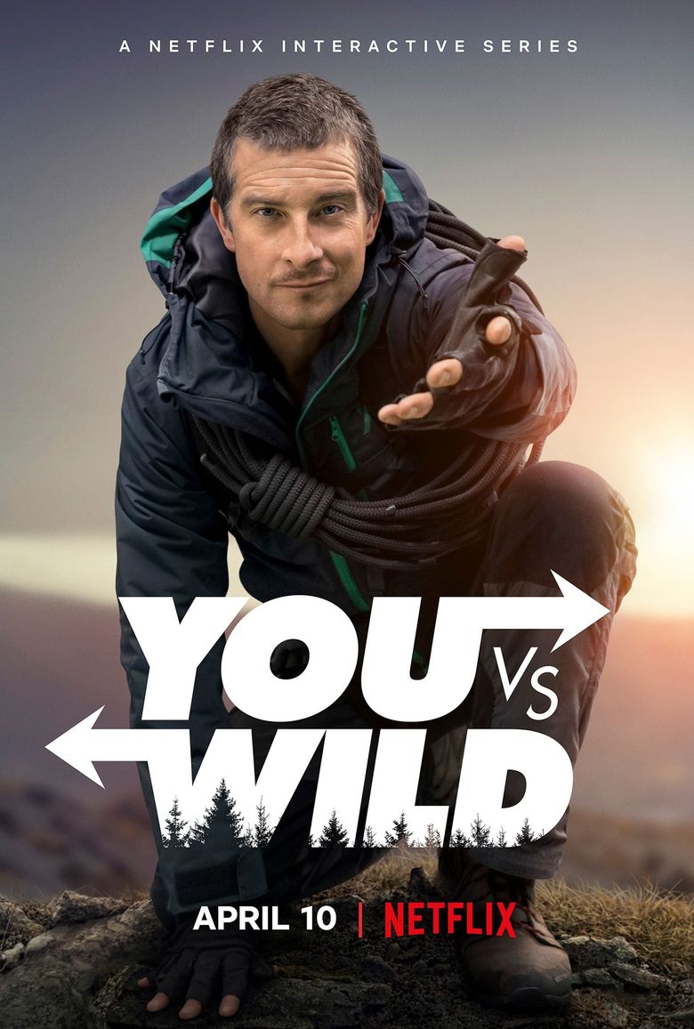 You vs. Wild Poster