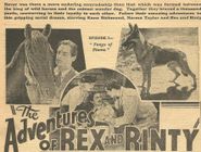  The Adventures of Rex and Rinty Poster