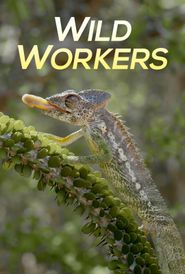  Wild Workers Poster