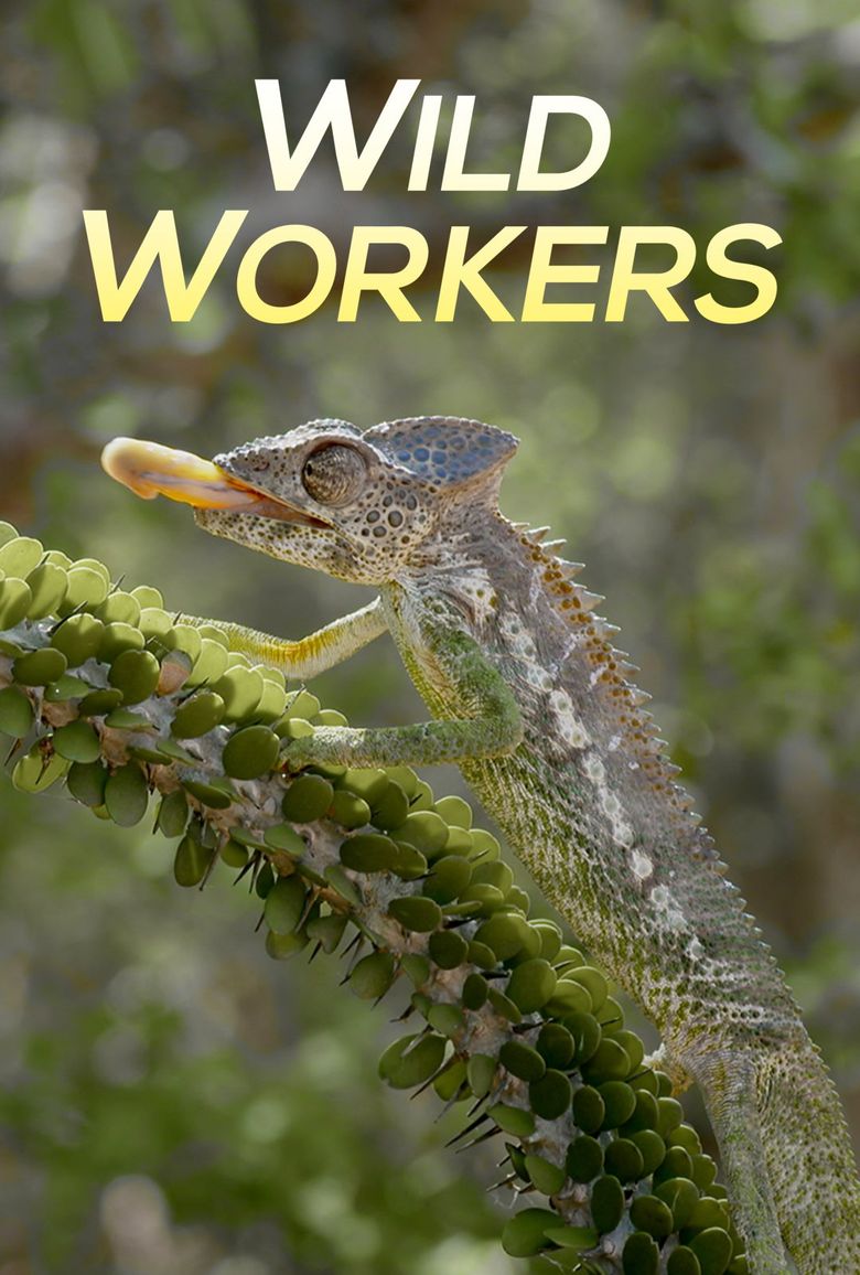 Wild Workers