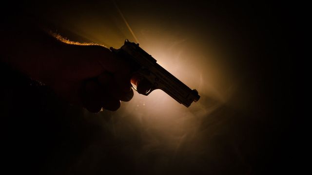Guns: The Evolution of Firearms Backdrop