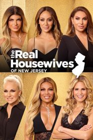 The Real Housewives of New Jersey Season 9 Poster