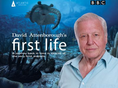 Season 01, Episode 03 Attenborough's Journey: Behind the Scenes