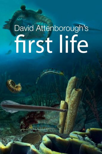  First Life Poster
