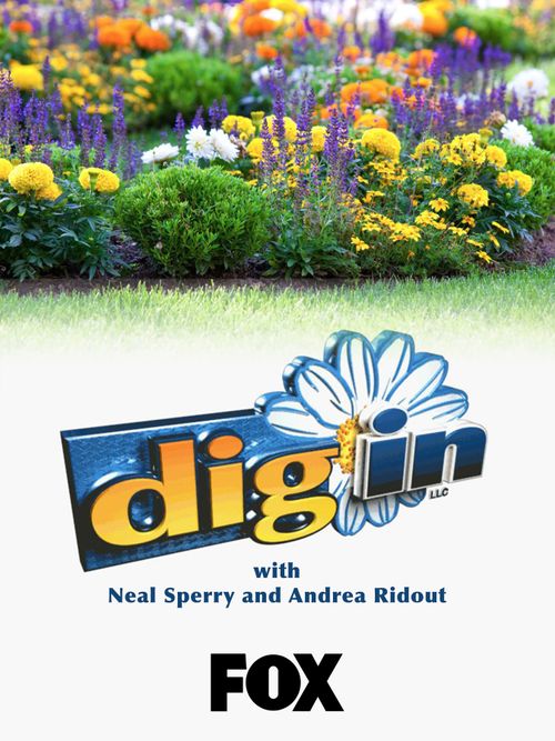 Dig In Poster