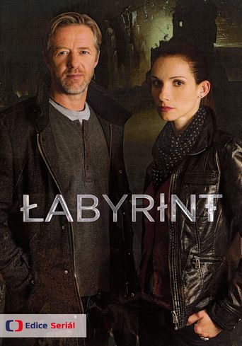 The Labyrinth Poster