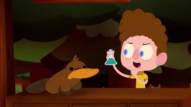 Camp Camp Backdrop