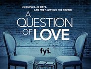  A Question of Love Poster