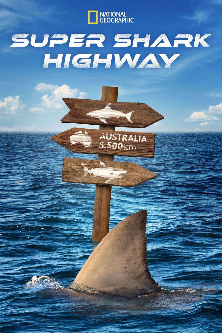 Super Shark Highway