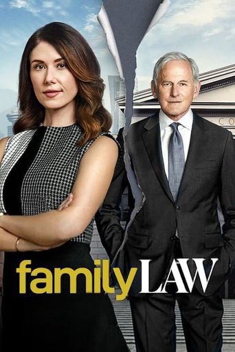  Family Law Poster