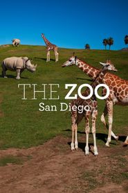  The Zoo: San Diego Poster