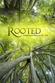  Rooted Poster