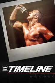 WWE Timeline Poster