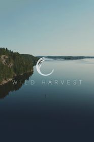  Wild Harvest Poster