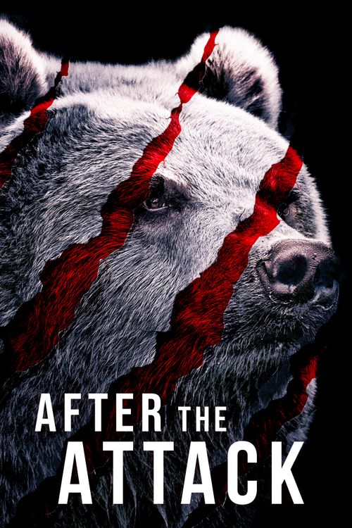 After the Attack Poster