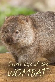 Secret Life of the Wombat Season 1 Poster