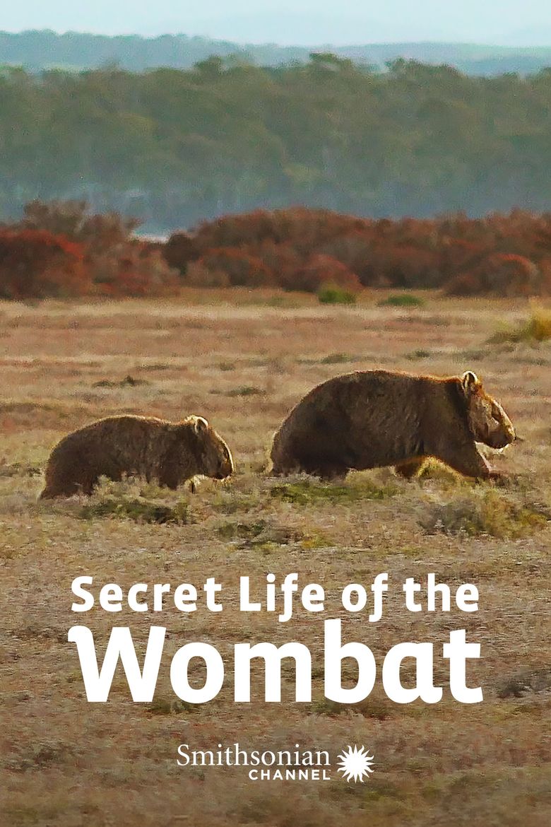 Secret Life of the Wombat Poster