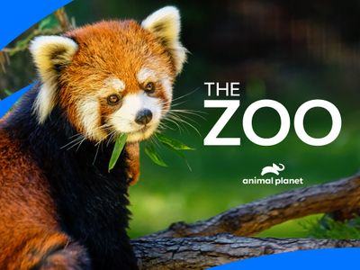 Season 04, Episode 105 The Zoo: Covid19 & Animals