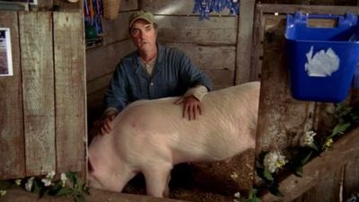 Season 05, Episode 14 Mr. Monk Visits a Farm
