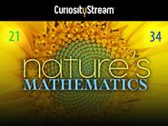  Nature's Mathematics Poster