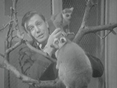 Season 06, Episode 04 Zoo Quest To Madagascar, Episode 4