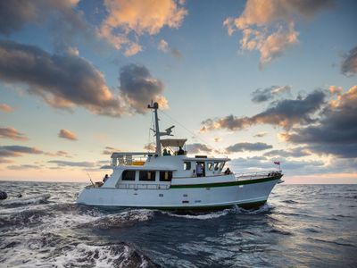 Cuba's Secret Shark Lair: Where to Watch and Stream Online | Reelgood