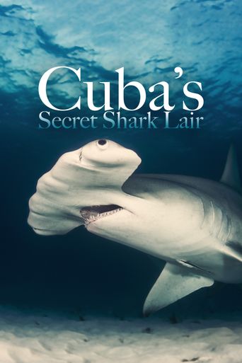  Cuba's Secret Shark Lair Poster