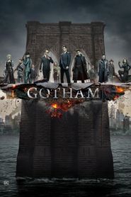  Gotham Poster