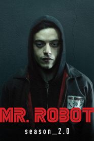 Mr. Robot Season 2 Poster